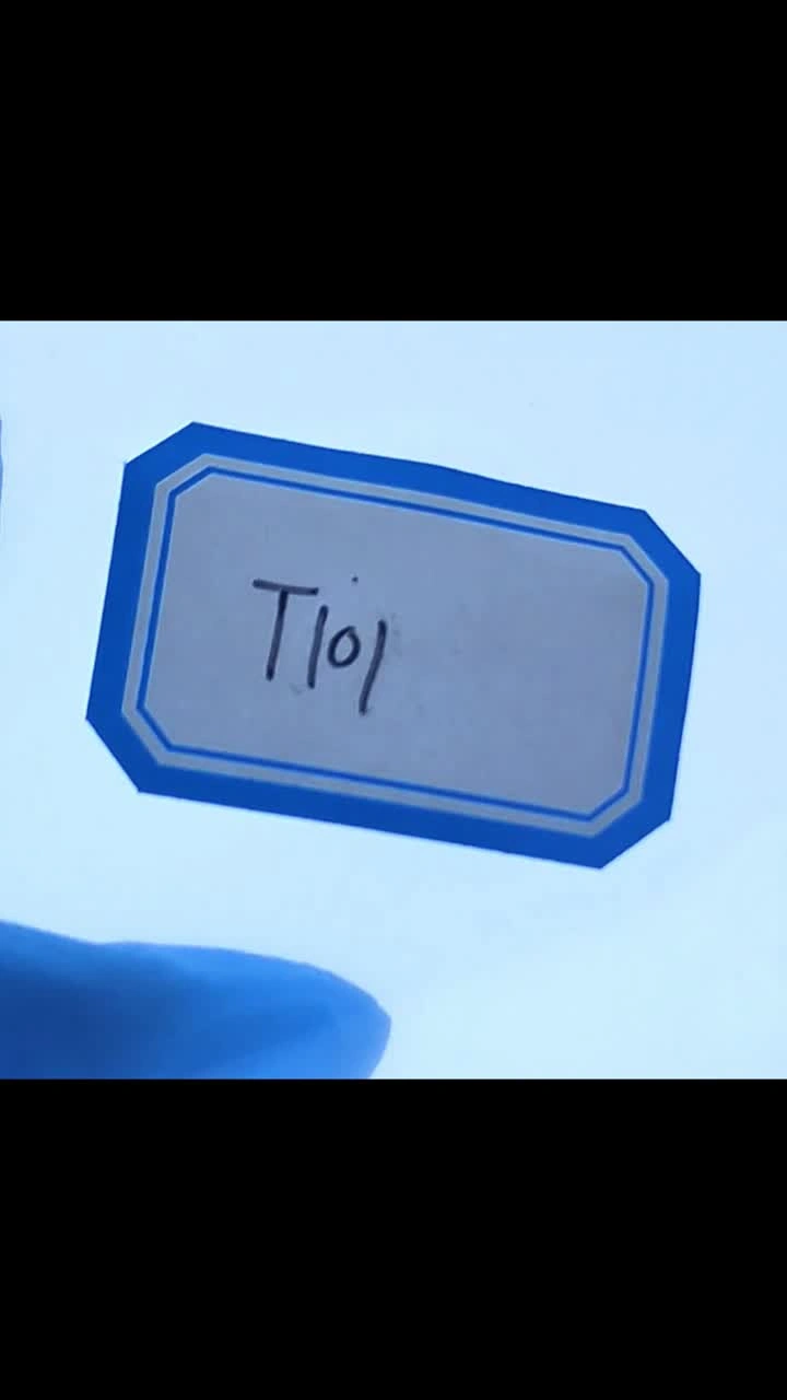 T101Kjellbery